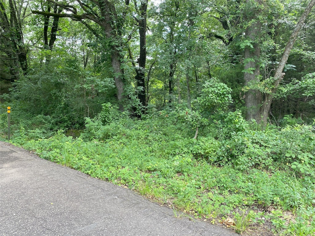 00 Rs County Road 1605, East Tawakoni, TX 75472