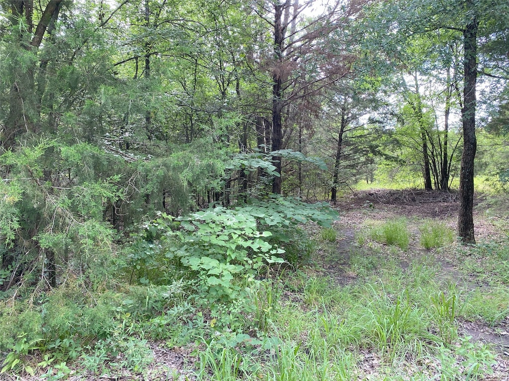 00 Rs County Road 1605, East Tawakoni, TX 75472