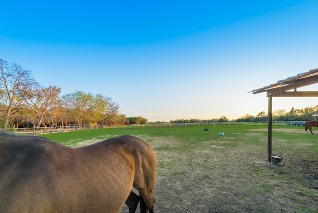 5310 Ranchero Ln, Dallas, TX 75236 - view of yard featuring a rural view