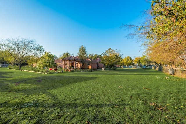 5310 Ranchero Ln, Dallas, TX 75236 - view of grassy yard