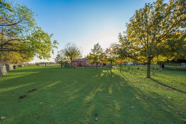 5310 Ranchero Ln, Dallas, TX 75236 - view of green lawn