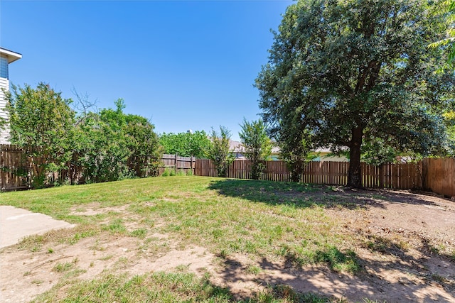 2036 Shawnee Trl, Fort Worth, TX 76247 - view of yard