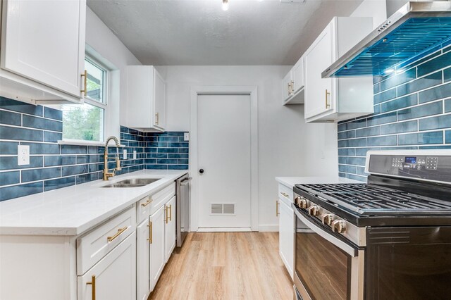 626 Thrush Ave, Duncanville, TX 75116 - kitchen featuring appliances with stainless steel finishes, a sink, wall chimney exhaust hood, light wood-style floors, and decorative backsplash