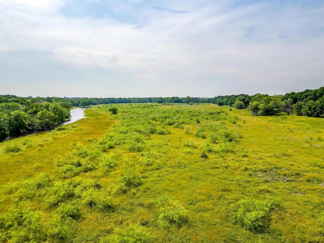 view of local wilderness