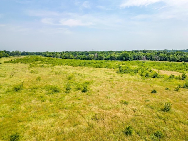 view of local wilderness