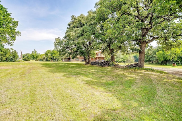view of grassy yard