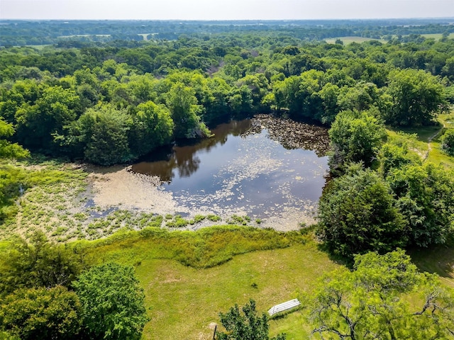 aerial view of a nearby body of water and a forest