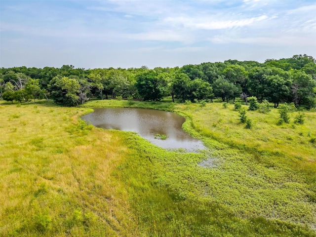 water view with a heavily wooded area