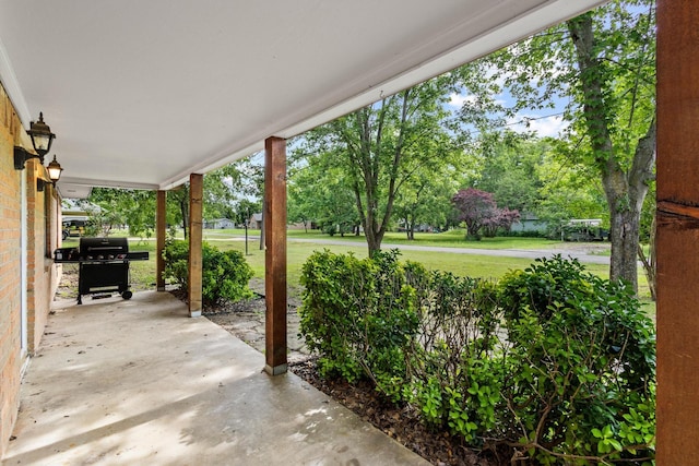 201 S Caney St, Dodd City, TX 75438 - view of patio / terrace with a grill