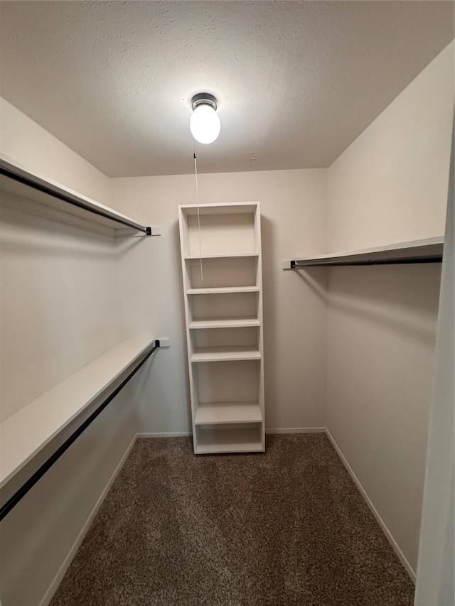 4859 Cedar Springs Rd Unit 150, Dallas, TX 75219 - spacious closet with carpet
