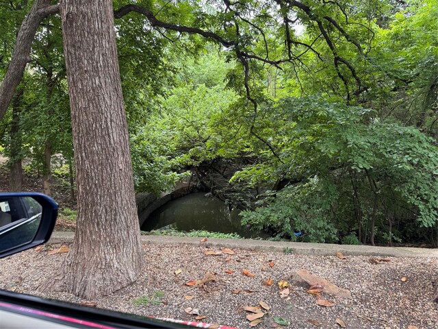 4859 Cedar Springs Rd Unit 150, Dallas, TX 75219 - view of yard featuring a wooded view