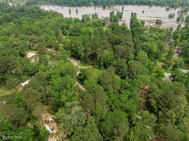 371 Lakeview Dr, Doyline, LA 71023 - view of property location featuring a forest and a large body of water