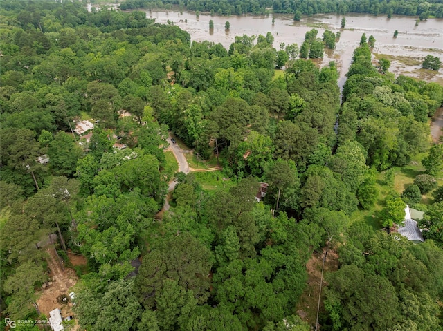 371 Lakeview Dr, Doyline, LA 71023 - bird's eye view of a forest and a large body of water
