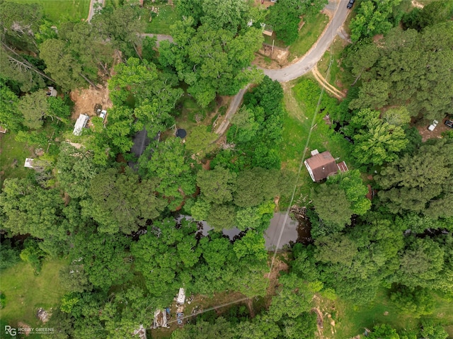 371 Lakeview Dr, Doyline, LA 71023 - aerial view of property's location