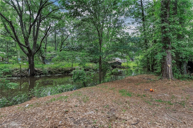 371 Lakeview Dr, Doyline, LA 71023 - view of yard