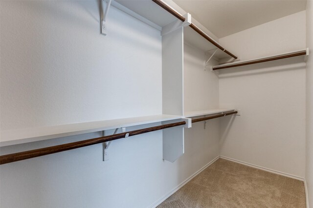 905 Ridge Dr, Little Elm, TX 75068 - walk in closet with light carpet