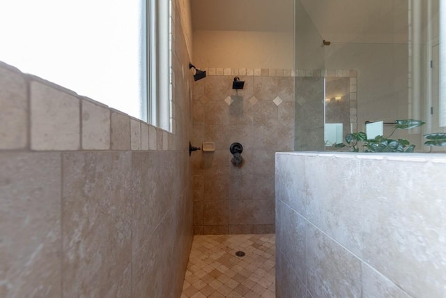 1235 Meredith Creek Ln, Fort Worth, TX 76179 - full bathroom with walk in shower