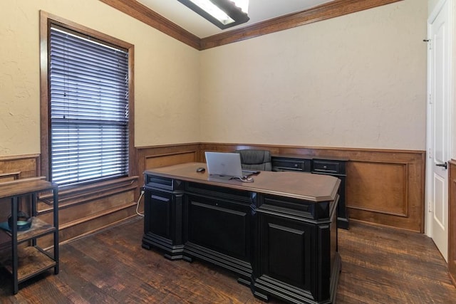 1235 Meredith Creek Ln, Fort Worth, TX 76179 - office space with a wainscoted wall, dark wood finished floors, and crown molding