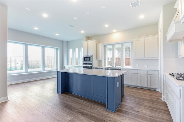 2207 Morris St, Rockwall, TX 75087 - kitchen featuring appliances with stainless steel finishes, a sink, light countertops, a center island, and recessed lighting