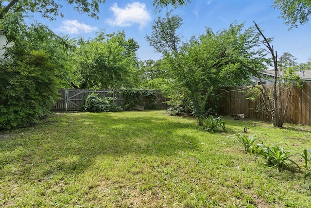 805 S Rusk St, Weatherford, TX 76086 - view of yard
