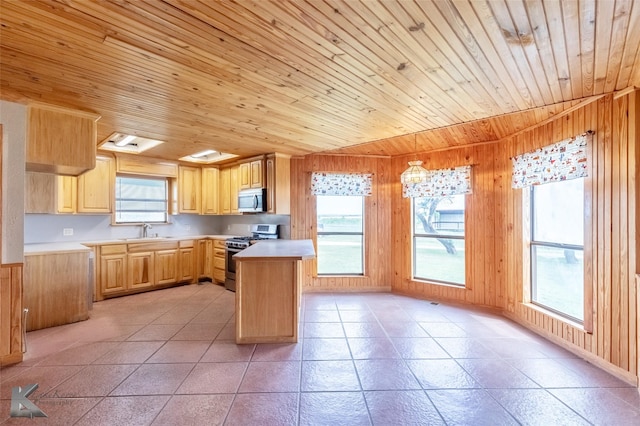 3017 County Road 154, Tuscola, TX 79562 - kitchen featuring appliances with stainless steel finishes, a sink, light brown cabinetry, light countertops, and healthy amount of natural light