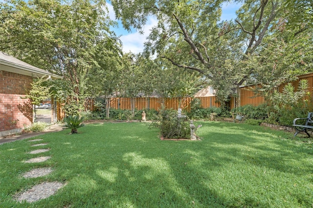 1412 Hyde Park Ln, Arlington, TX 76015 - view of yard