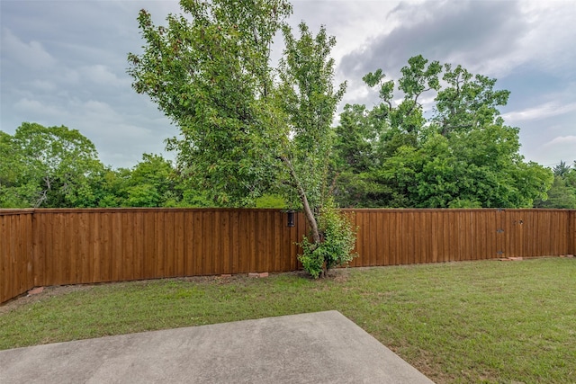 1017 Lake Trail Dr, Little Elm, TX 75068 - view of yard with a patio area