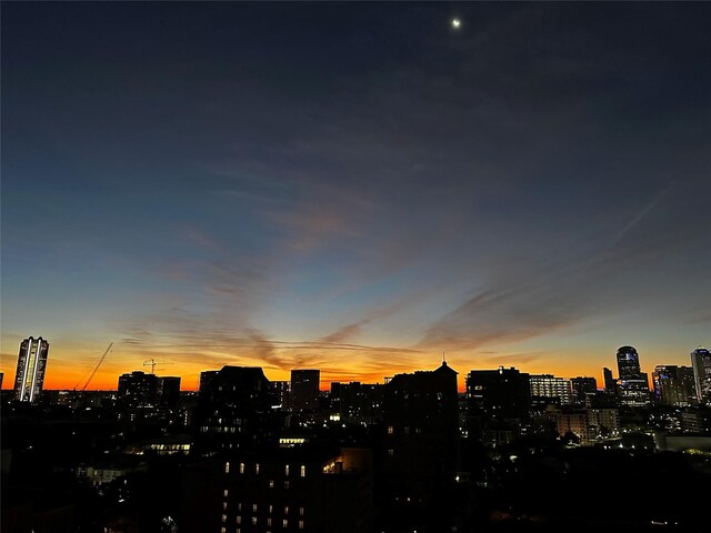 2828 Hood St Unit 1303, Dallas, TX 75219 - skyline view