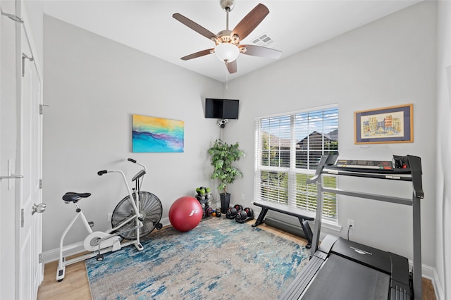 386 Frederick Dr, Robinson, TX 76706 - exercise area with wood finished floors, baseboards, and a ceiling fan