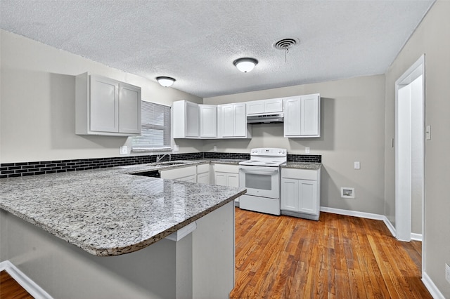 1306 Blanton Pl, Sherman, TX 75092 - kitchen featuring electric stove, a peninsula, light stone counters, light wood finished floors, and under cabinet range hood