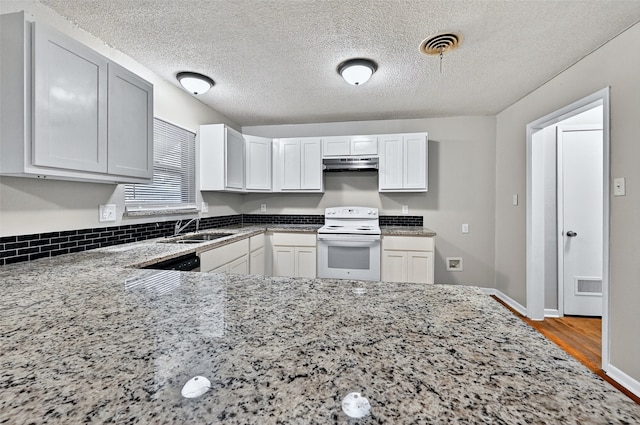 1306 Blanton Pl, Sherman, TX 75092 - kitchen featuring white electric stove, under cabinet range hood, light stone countertops, wood finished floors, and white cabinets