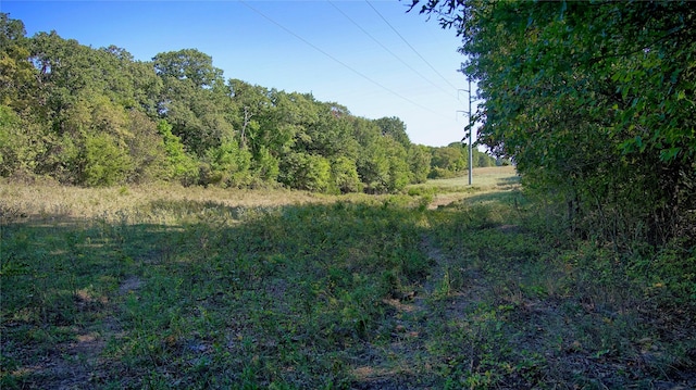 0000 Fm 3206, Saint Jo, TX 76265