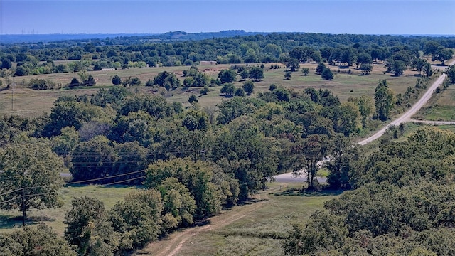 0000 Fm 3206, Saint Jo, TX 76265
