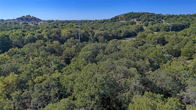 0000 Fm 3206, Saint Jo, TX 76265