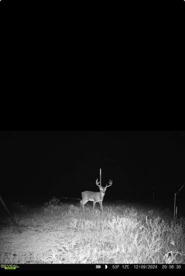 0000 Fm 3206, Saint Jo, TX 76265