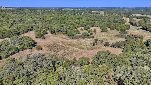 0000 Fm 3206, Saint Jo, TX 76265