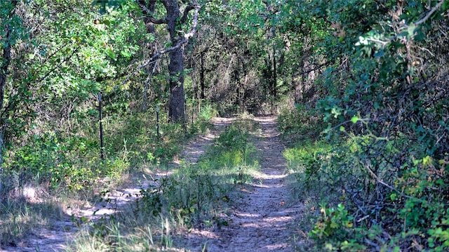 0000 Fm 3206, Saint Jo, TX 76265