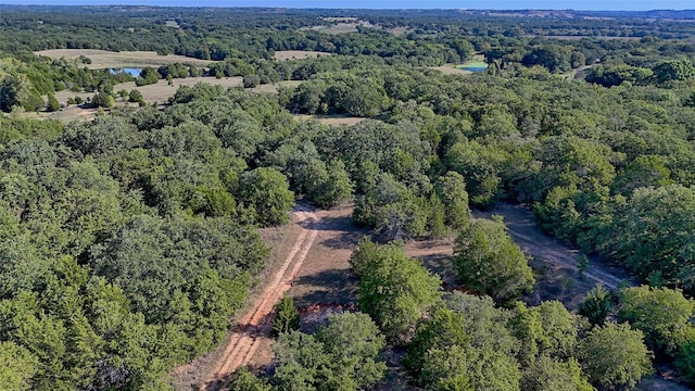 0000 Fm 3206, Saint Jo, TX 76265