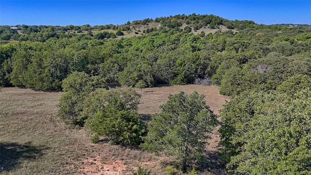 0000 Fm 3206, Saint Jo, TX 76265