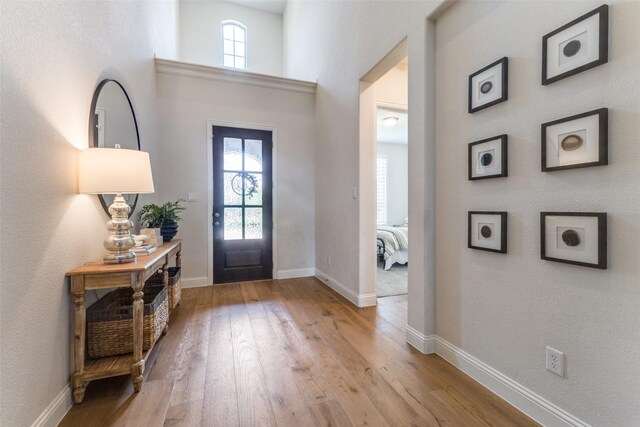3109 Twin Eagles Dr, Celina, TX 75009 - foyer featuring plenty of natural light, light wood-style flooring, and baseboards