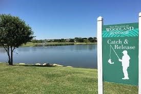 12428 Leaflet Dr, Fort Worth, TX 76244 - water view
