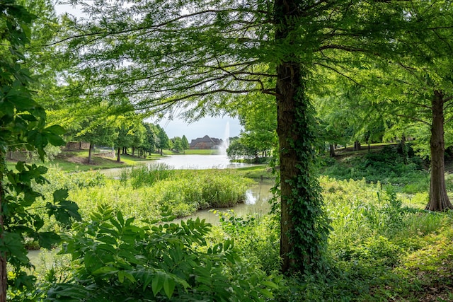 202 Woodland Pond Dr, Allen, TX 75013 - view of nature featuring a nearby body of water