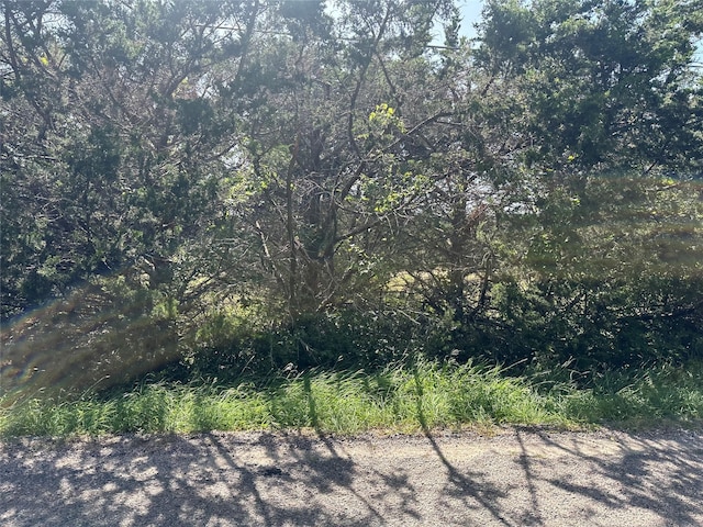 LOT1 Cedar Rd, Sherman, TX 75090