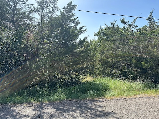 LOT1 Cedar Rd, Sherman, TX 75090