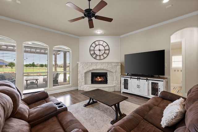 14208 Lucille Dr, Newark, TX 76071 - living room with crown molding, plenty of natural light, a ceiling fan, wood finished floors, and a stone fireplace