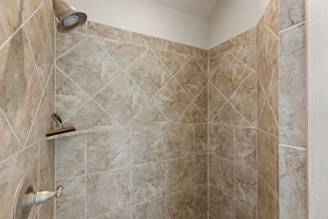 14208 Lucille Dr, Newark, TX 76071 - full bath featuring a tile shower