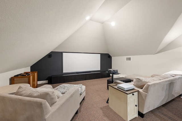 14208 Lucille Dr, Newark, TX 76071 - carpeted cinema with lofted ceiling
