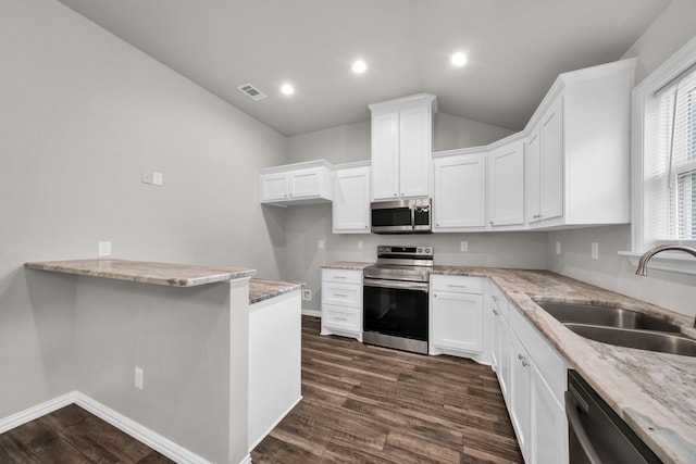 209 NE 6th Ave, Mineral Wells, TX 76067 - kitchen featuring stainless steel appliances, a sink, dark wood finished floors, light stone countertops, and lofted ceiling