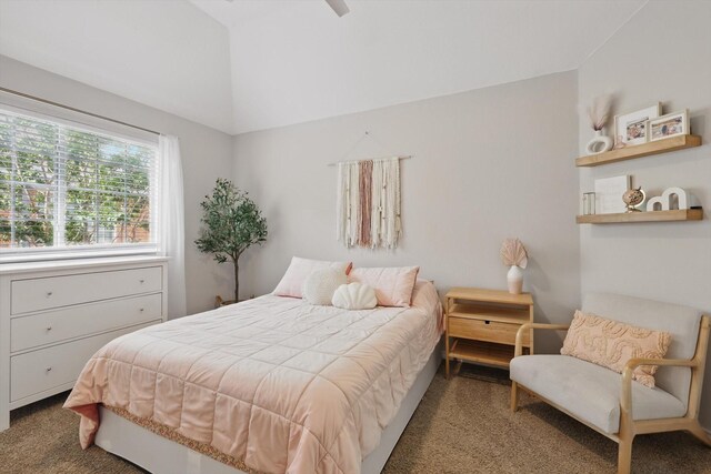 7205 Fair Valley Way, Plano, TX 75024 - bedroom featuring carpet flooring and vaulted ceiling