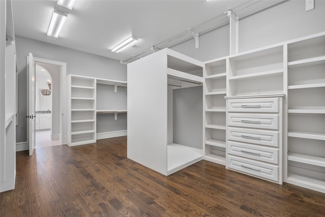 6644 Josephine St, Plano, TX 75024 - spacious closet with dark wood-type flooring